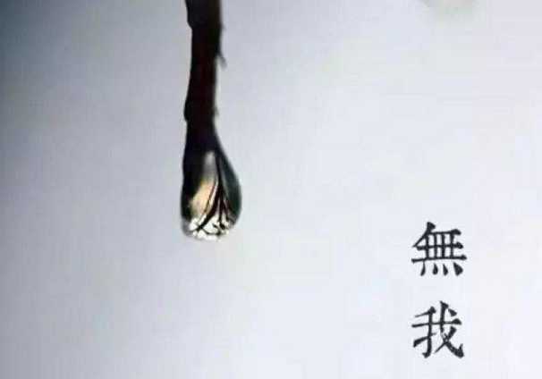 无我——五取蕴的共相之一