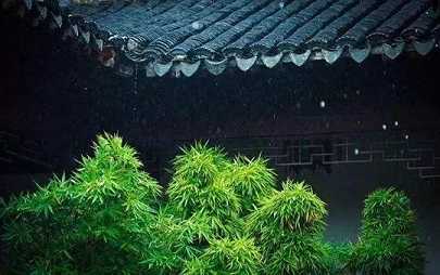 https://m.xinjingjy.com/fxztqt/spsgpj/179437.html