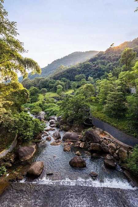 八正道