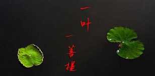 悟道的内容