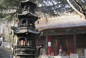 悟道