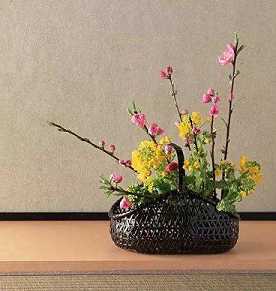 胎藏界