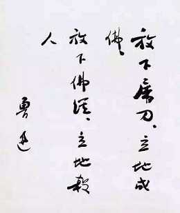偈语的简介
