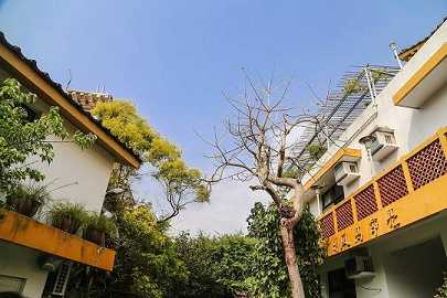佛教僧团确立的重要基石：成立竹林精舍