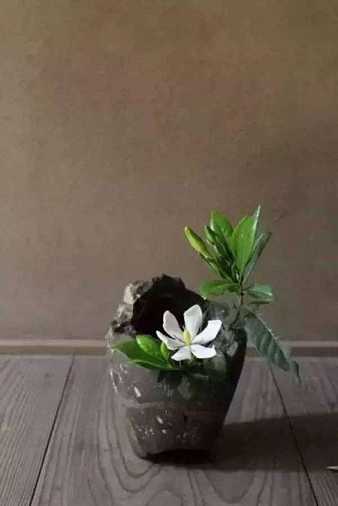 https://m.xinjingjy.com/fxztqt/bhwx/177987.html