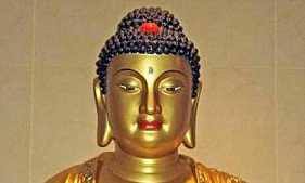 https://m.xinjingjy.com/fxztqt/sithbu/176821.html