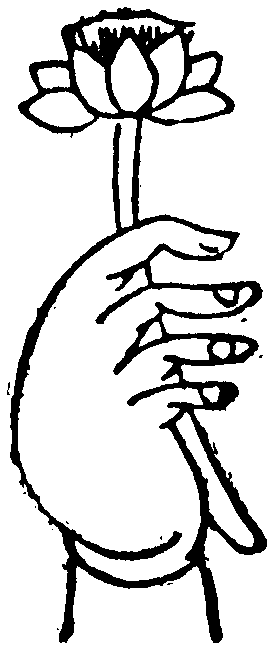 https://m.xinjingjy.com/fxztqt/jntvcp/175980.html