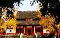 https://m.xinjingjy.com/fxztqt/sanyvl/176675.html