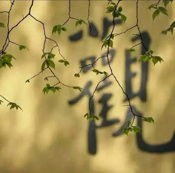 贤劫千佛