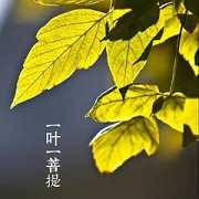 行善的概念