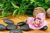 https://m.xinjingjy.com/fxztqt/hzcxg/179681.html
