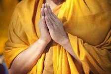 https://m.xinjingjy.com/fxztqt/sadhls/183049.html