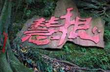 https://m.xinjingjy.com/fxztqt/hgepun/184272.html