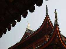 https://m.xinjingjy.com/fxztqt/rswfyw/184410.html