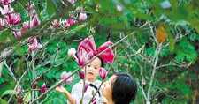 普门品全文如何回向