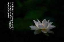 楞严咒咒心梵文视频