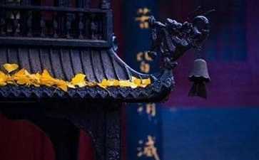 做生意造了很多业，怎么办？