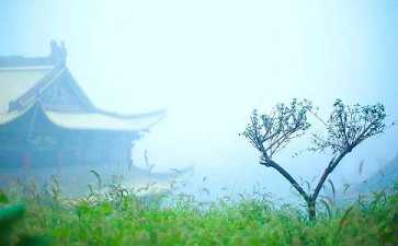 睡着无梦时什么都不知道，第七识的恒审去哪里了？