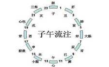 关于“十二时辰养生法”