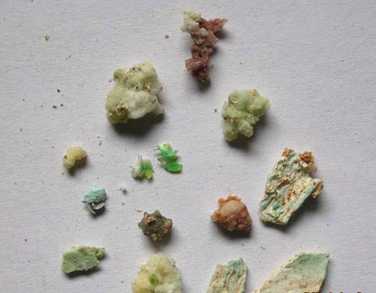 徐彬居士荼毗绿色舍利