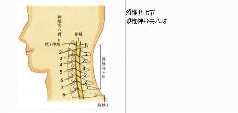 拜佛与医学 第五讲