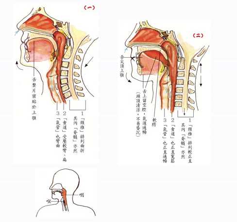 拜佛与医学 第五讲