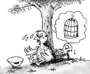 当前社会应如何放生？