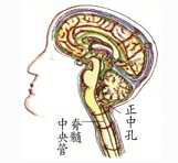 拜佛与医学 第五讲