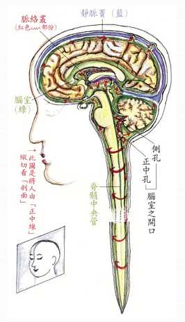 拜佛与医学 第五讲