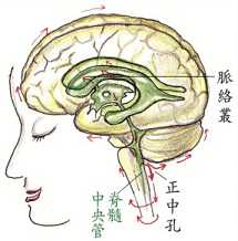 拜佛与医学 第五讲